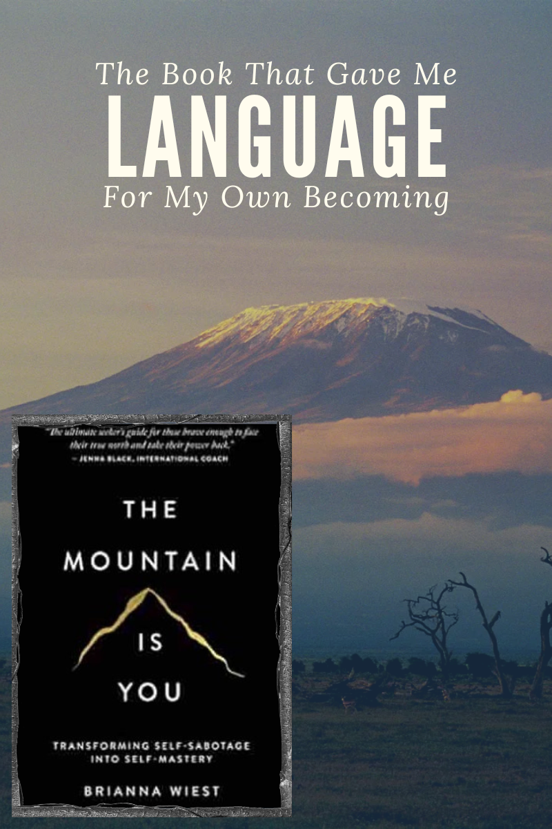 The Mountain Is You: The Book That Gave Me Language for My Own Becoming